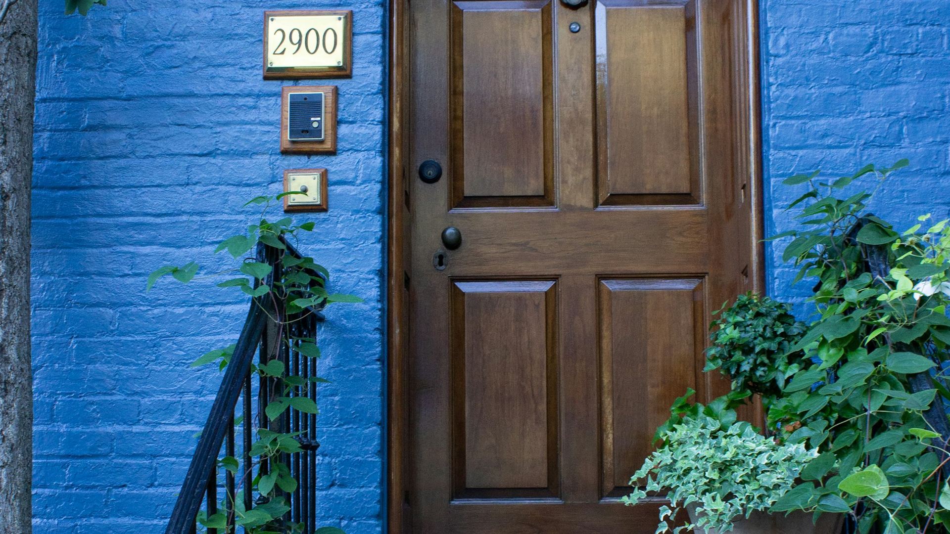 A dark wooden front door on a blue-painted brick townhouse, with steps and planters