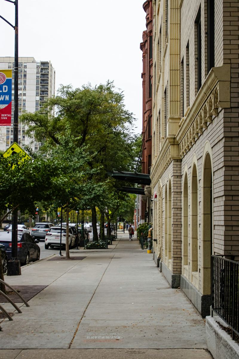 A tree-lined Chicago residential street of greystone houses